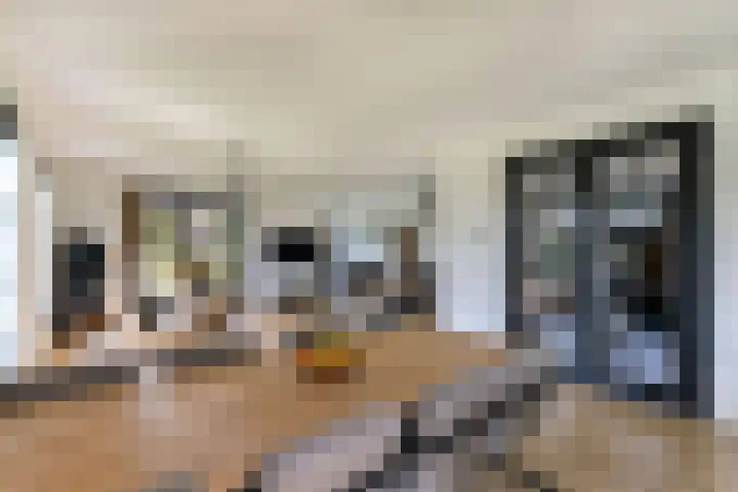 Kleijnvenke 2 Arcen thumbnail 9