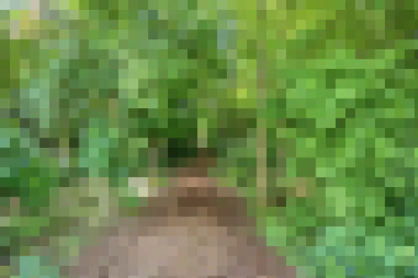Kleikade 43 Waddinxveen thumbnail 40
