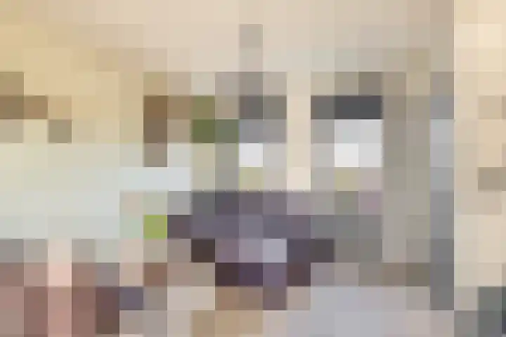 Kleikade 49 Waddinxveen thumbnail 6