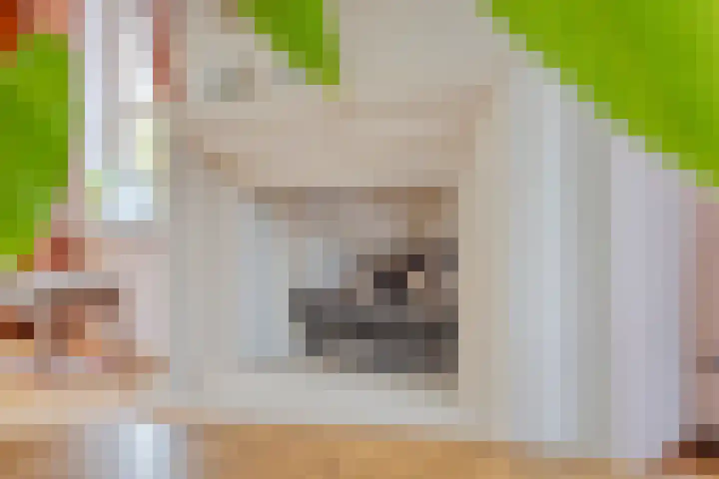Kleikampen 6 Gemert thumbnail 14
