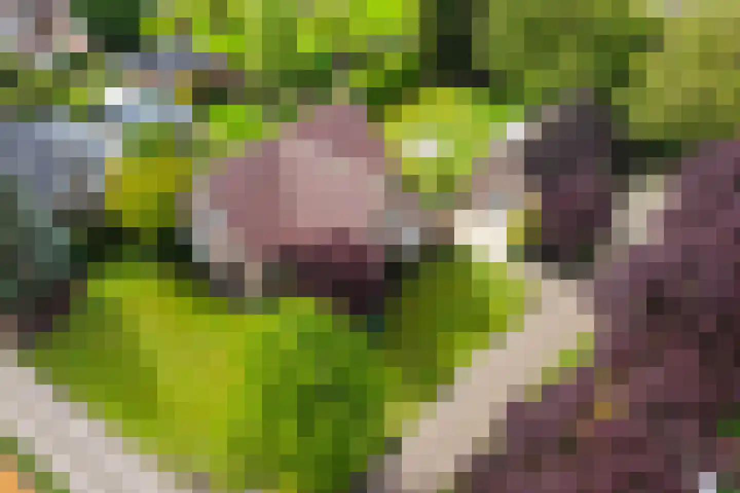 Kleikampen 6 Gemert thumbnail 4