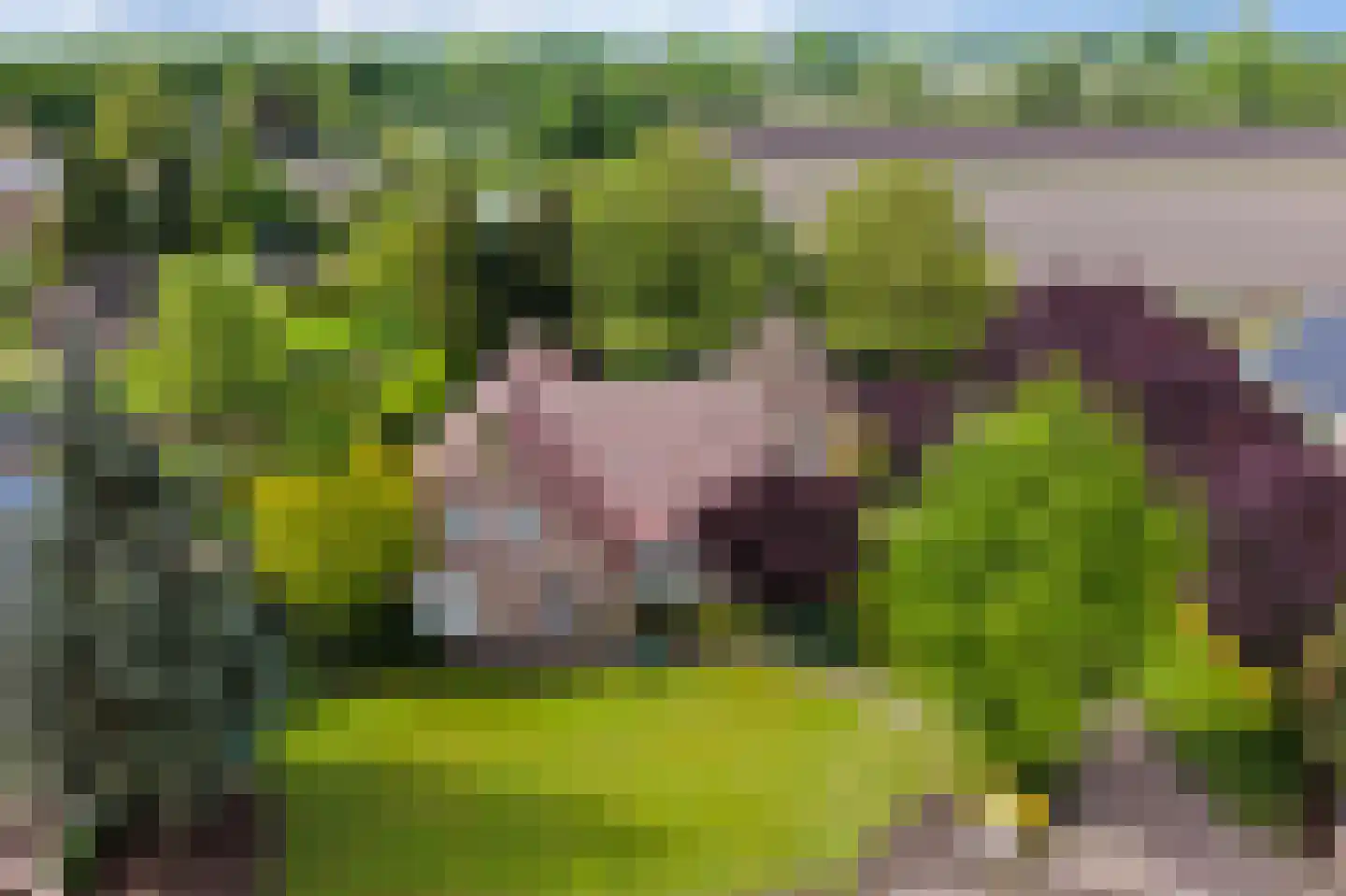 Kleikampen 6 Gemert thumbnail 42