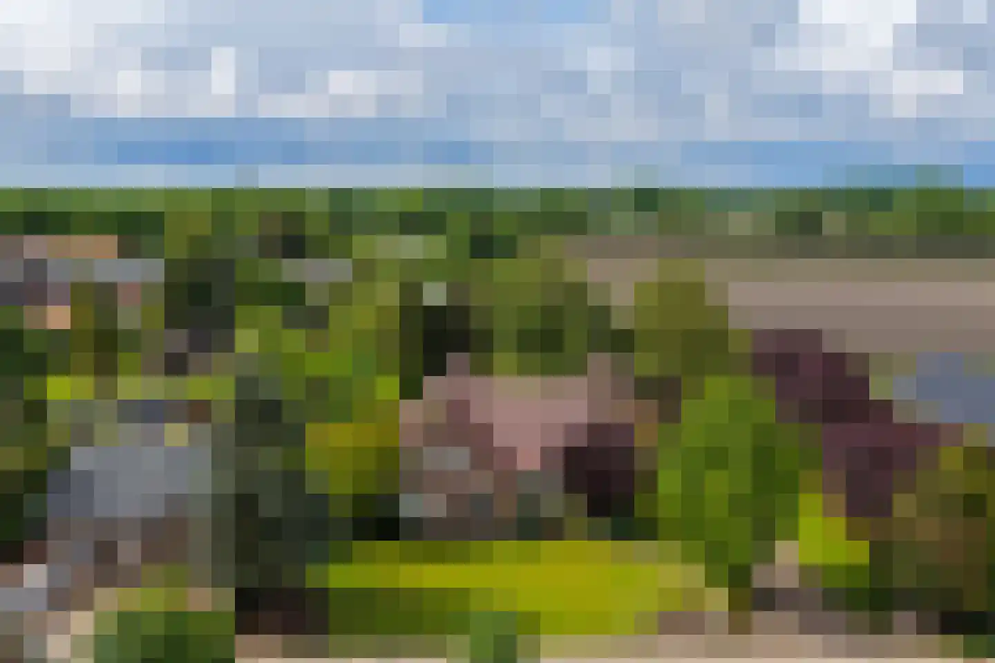 Kleikampen 6 Gemert thumbnail 44
