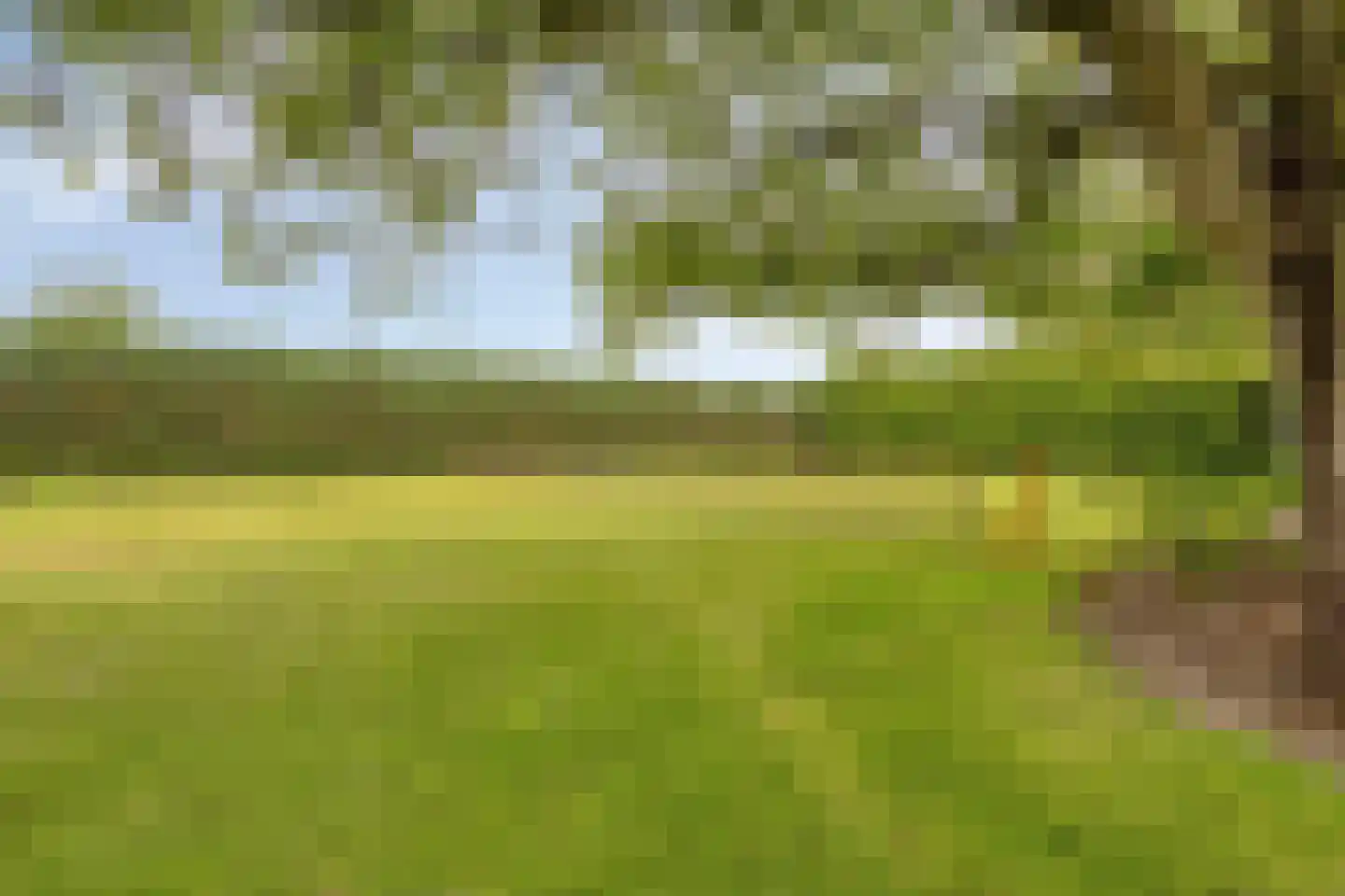 Kleikampen 6 Gemert thumbnail 48