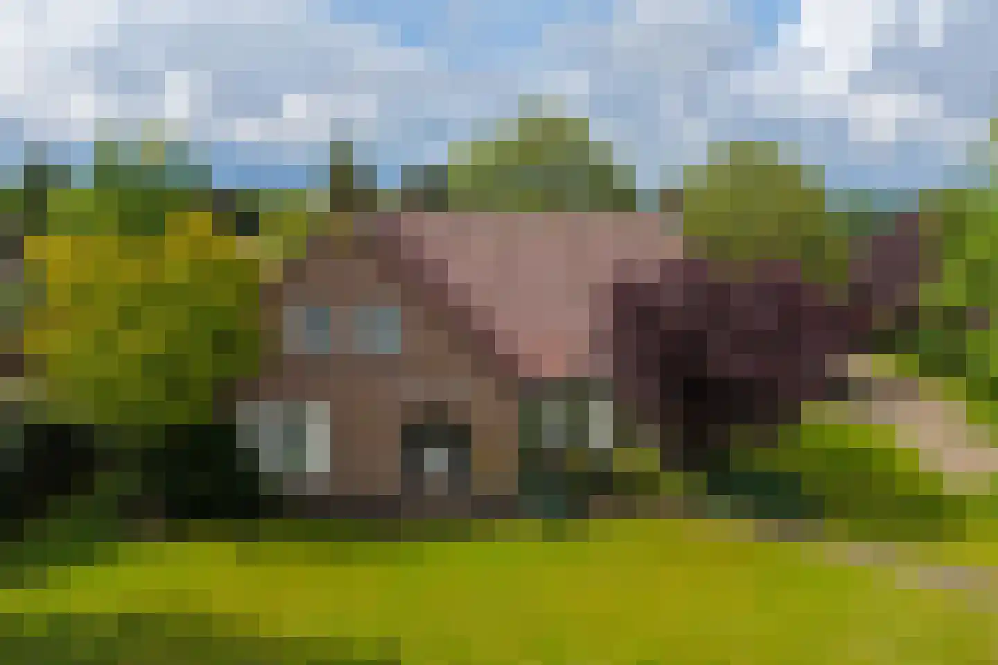 Kleikampen 6 Gemert thumbnail 49