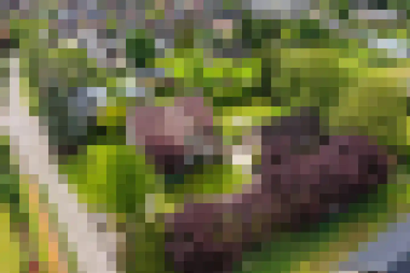 Kleikampen 6 Gemert thumbnail 50