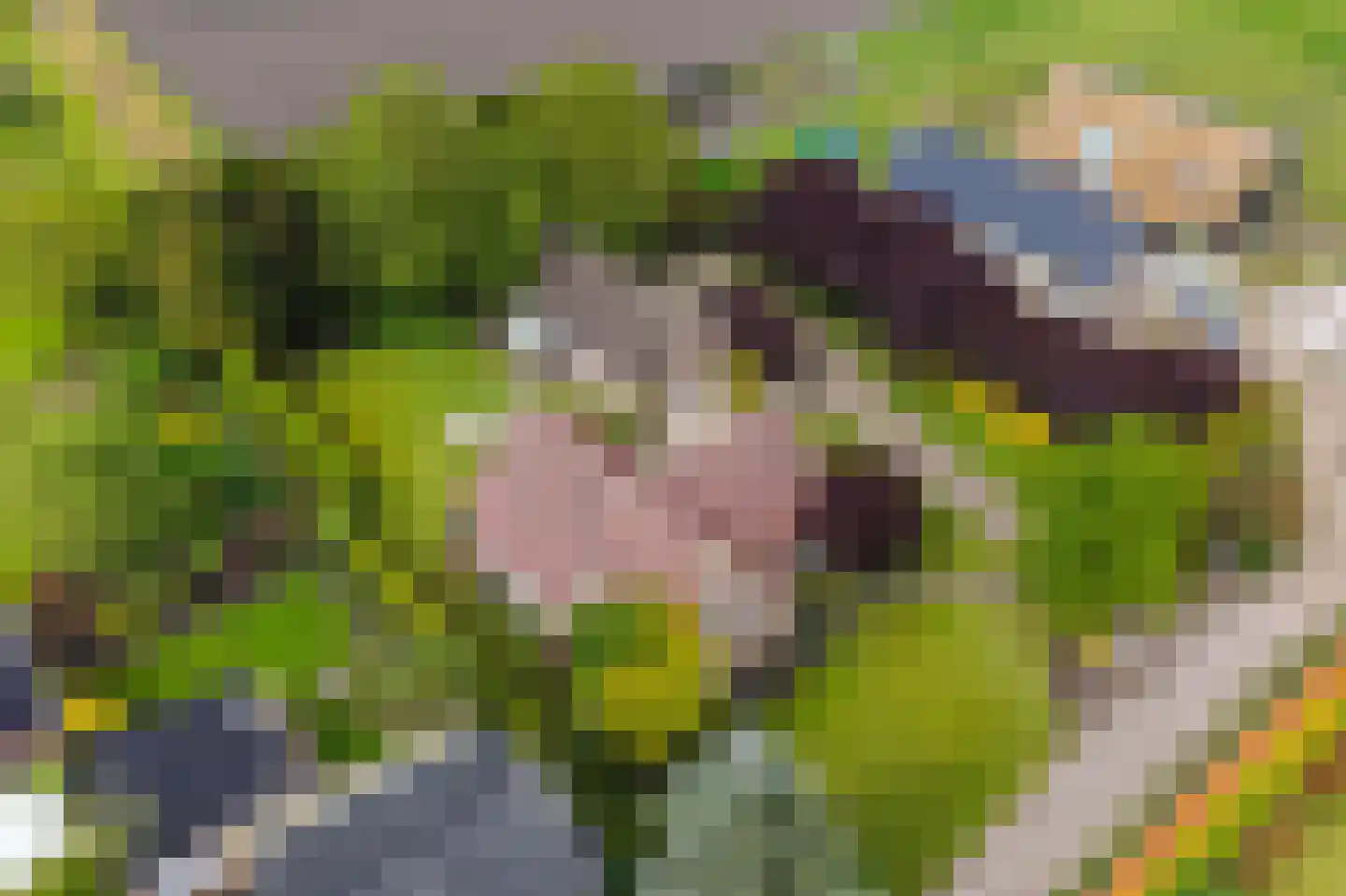 Kleikampen 6 Gemert thumbnail 51