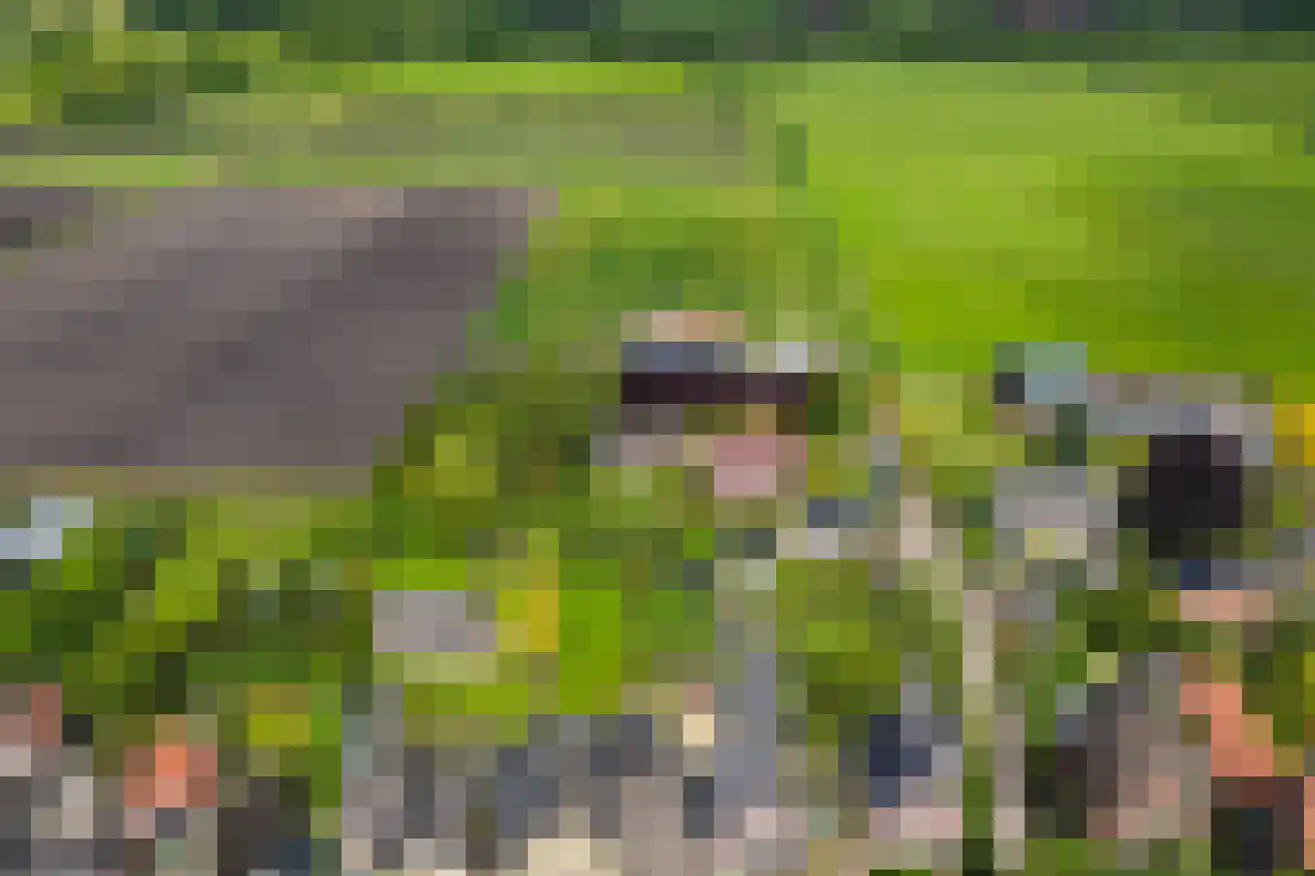 Kleikampen 6 Gemert thumbnail 53