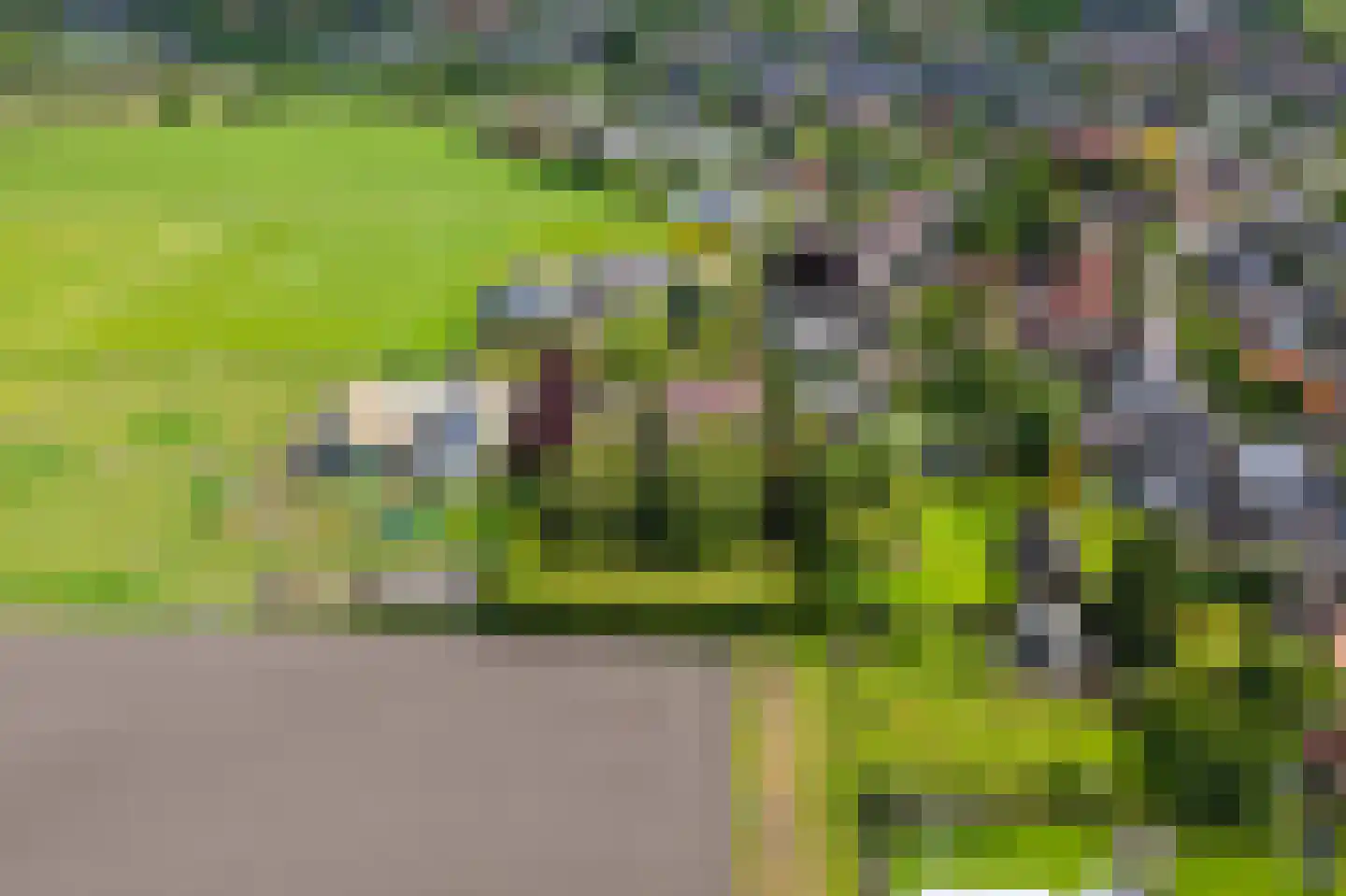 Kleikampen 6 Gemert thumbnail 54