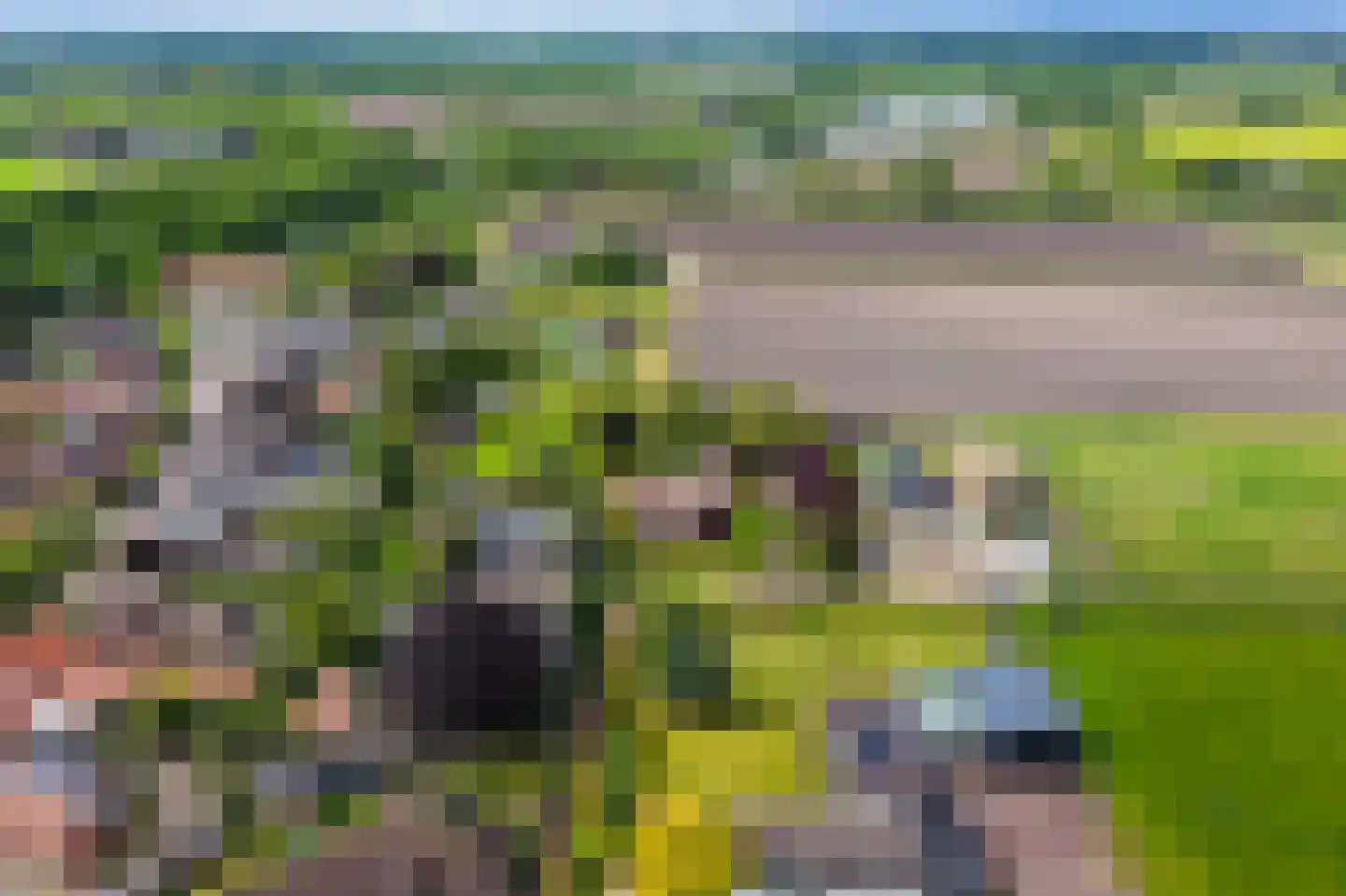 Kleikampen 6 Gemert thumbnail 55