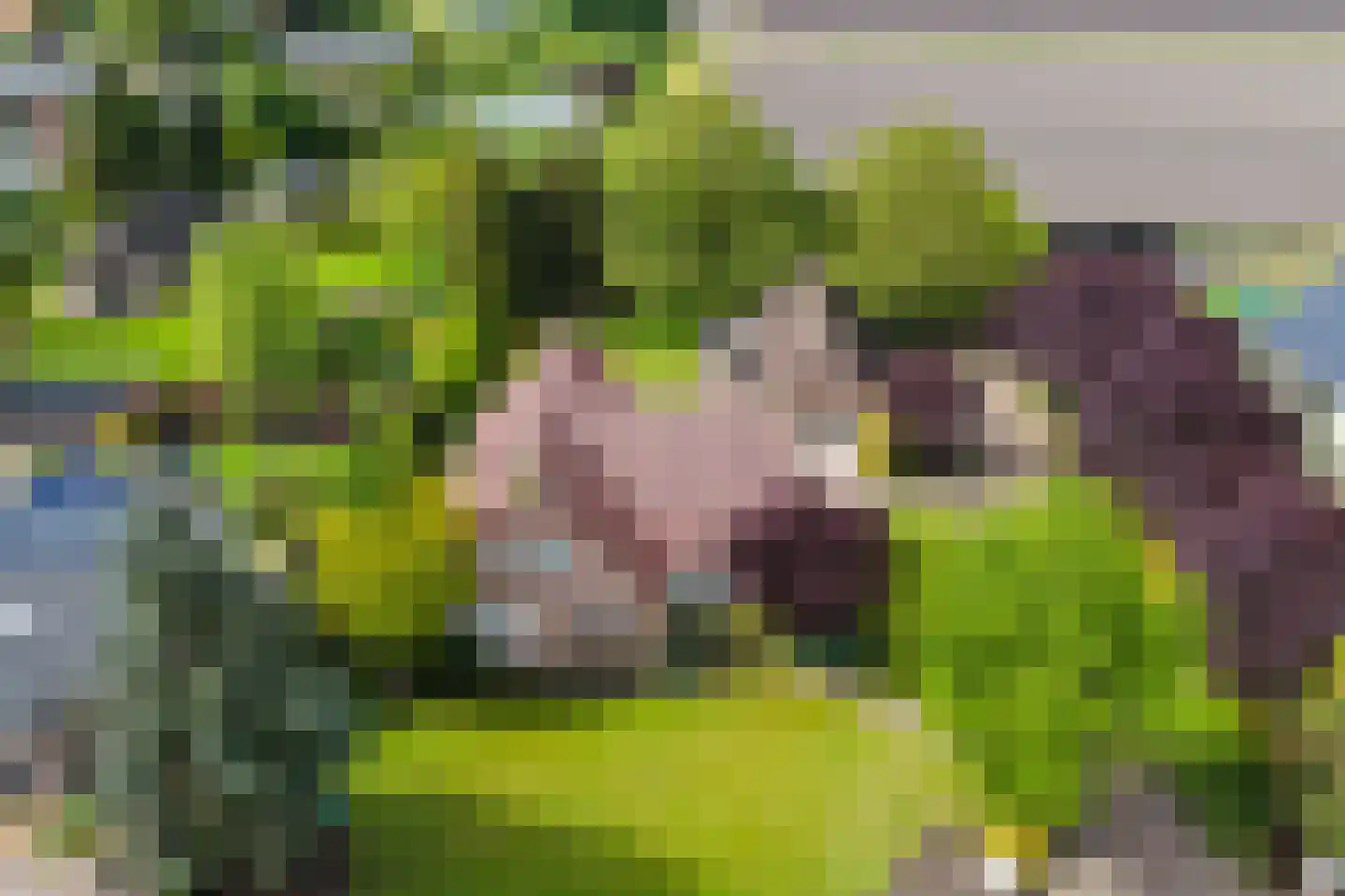 Kleikampen 6 Gemert thumbnail 56