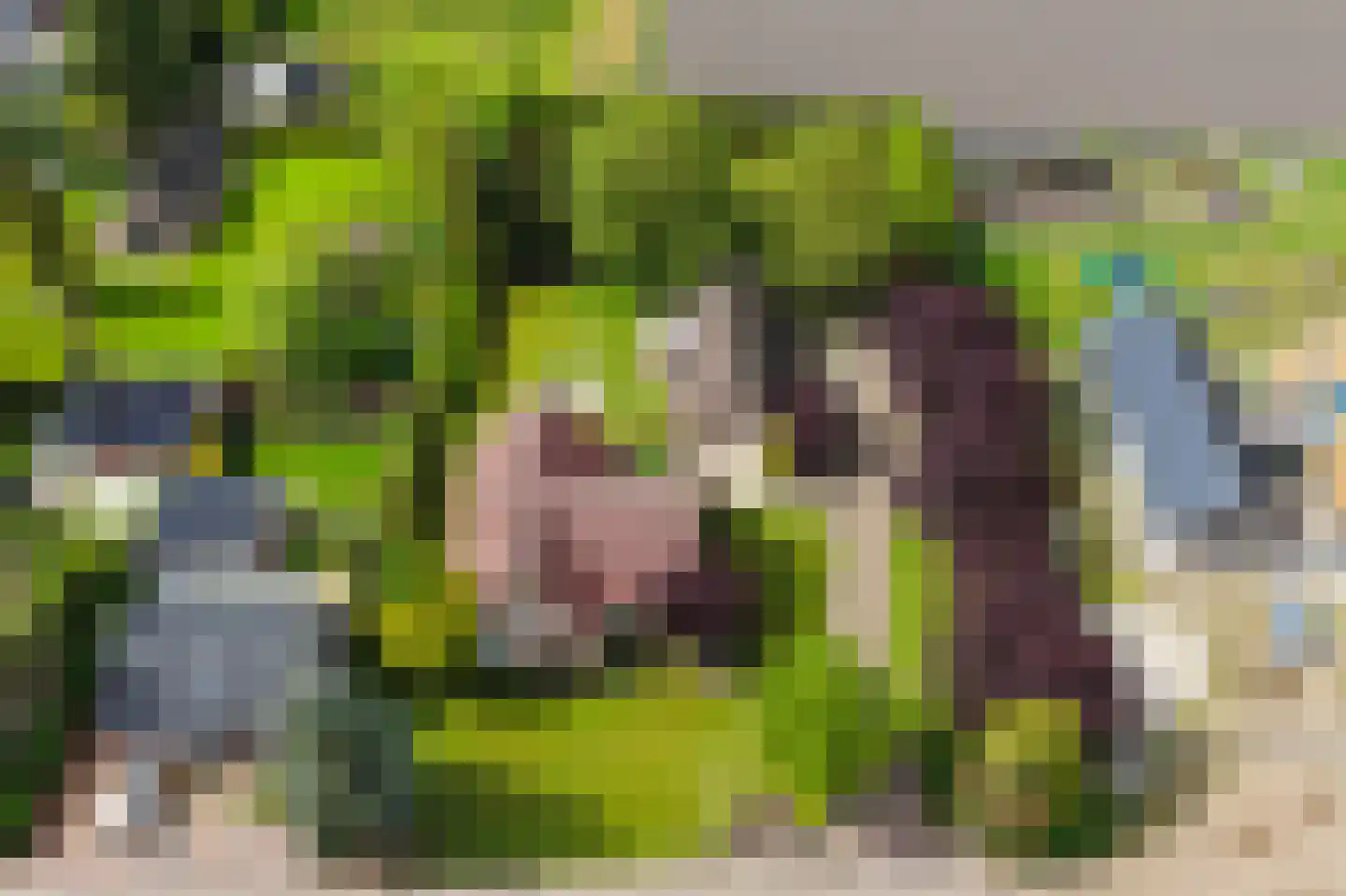 Kleikampen 6 Gemert thumbnail 57