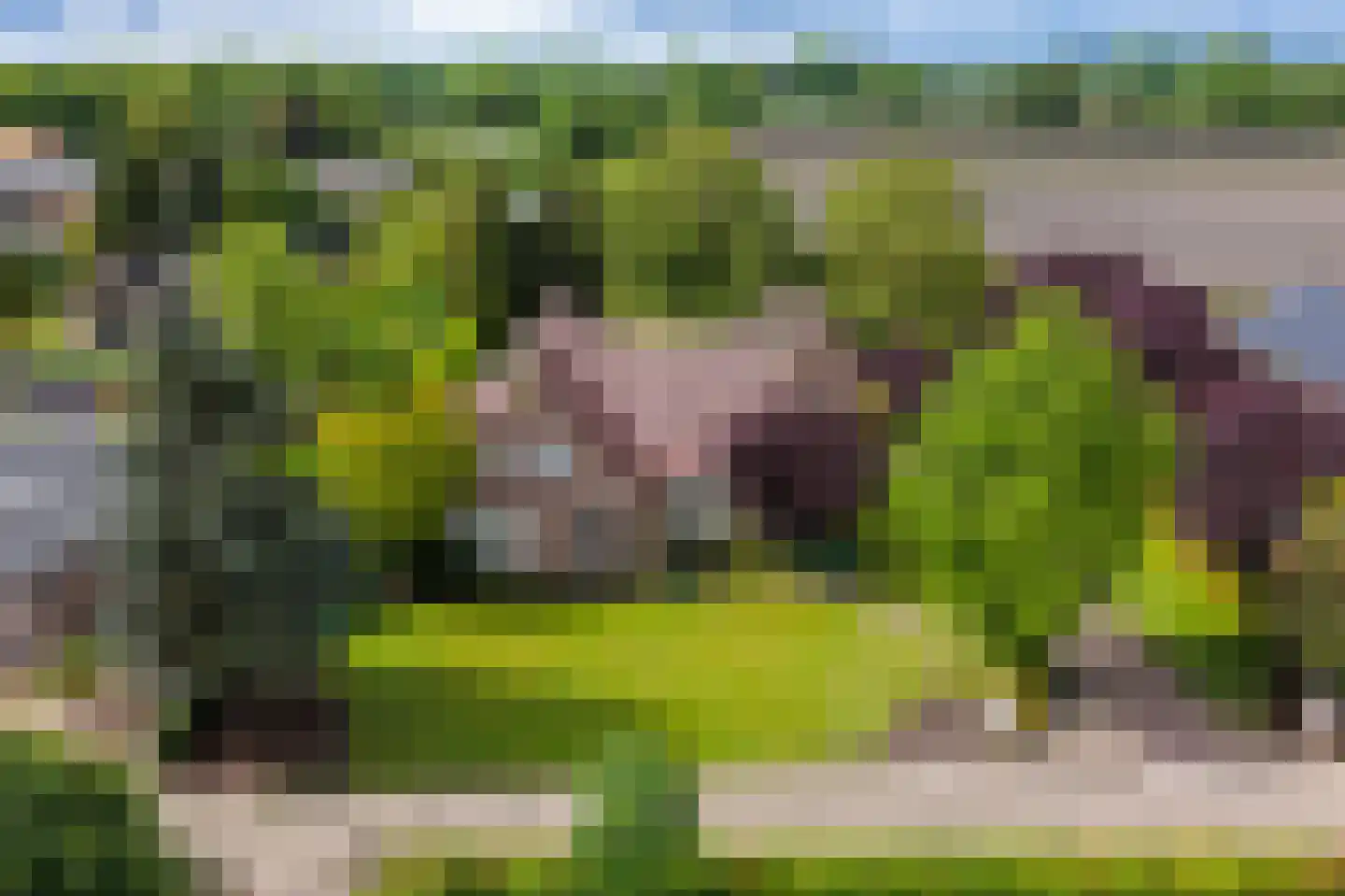 Kleikampen 6 Gemert thumbnail 58