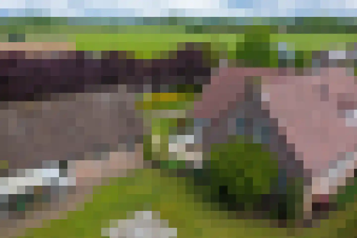Kleikampen 6 Gemert thumbnail 59