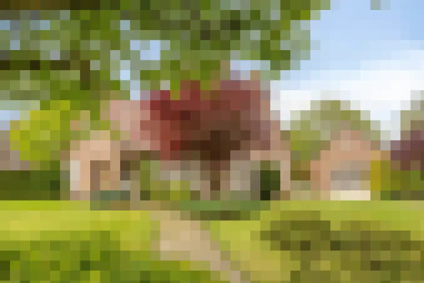 Kleikampen 6 Gemert thumbnail 6