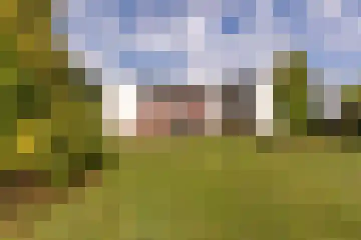 Kleikoeleweg 104 Landgraaf thumbnail 23