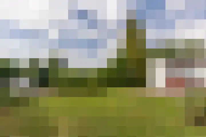 Kleikoeleweg 104 Landgraaf thumbnail 26