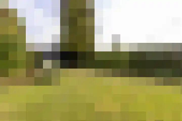 Kleikoeleweg 104 Landgraaf thumbnail 27