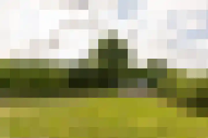 Kleikoeleweg 104 Landgraaf thumbnail 28