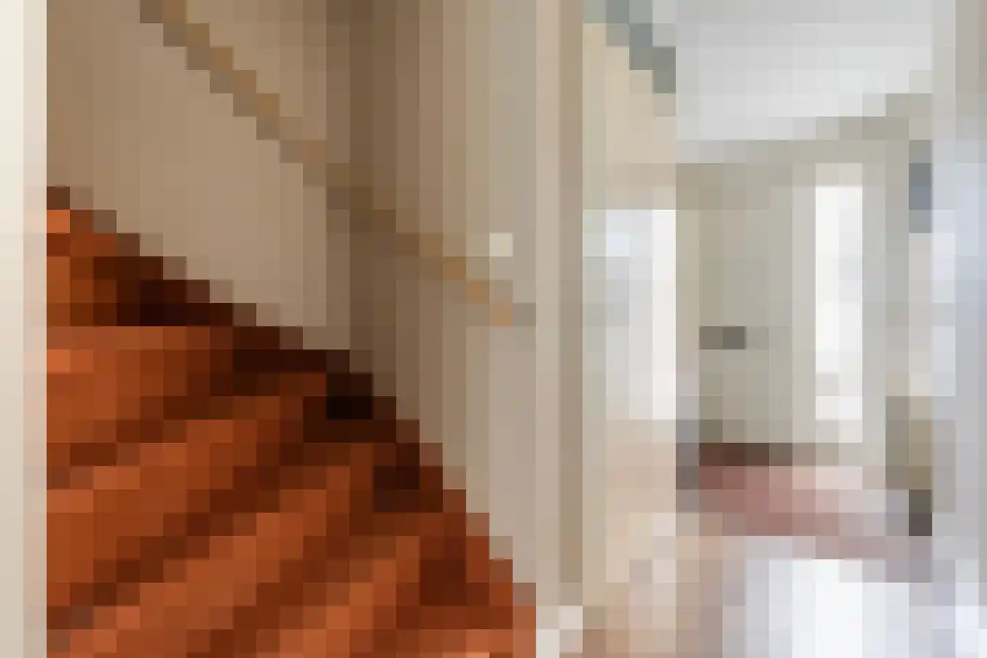Kleimos 14 Zwolle thumbnail 15