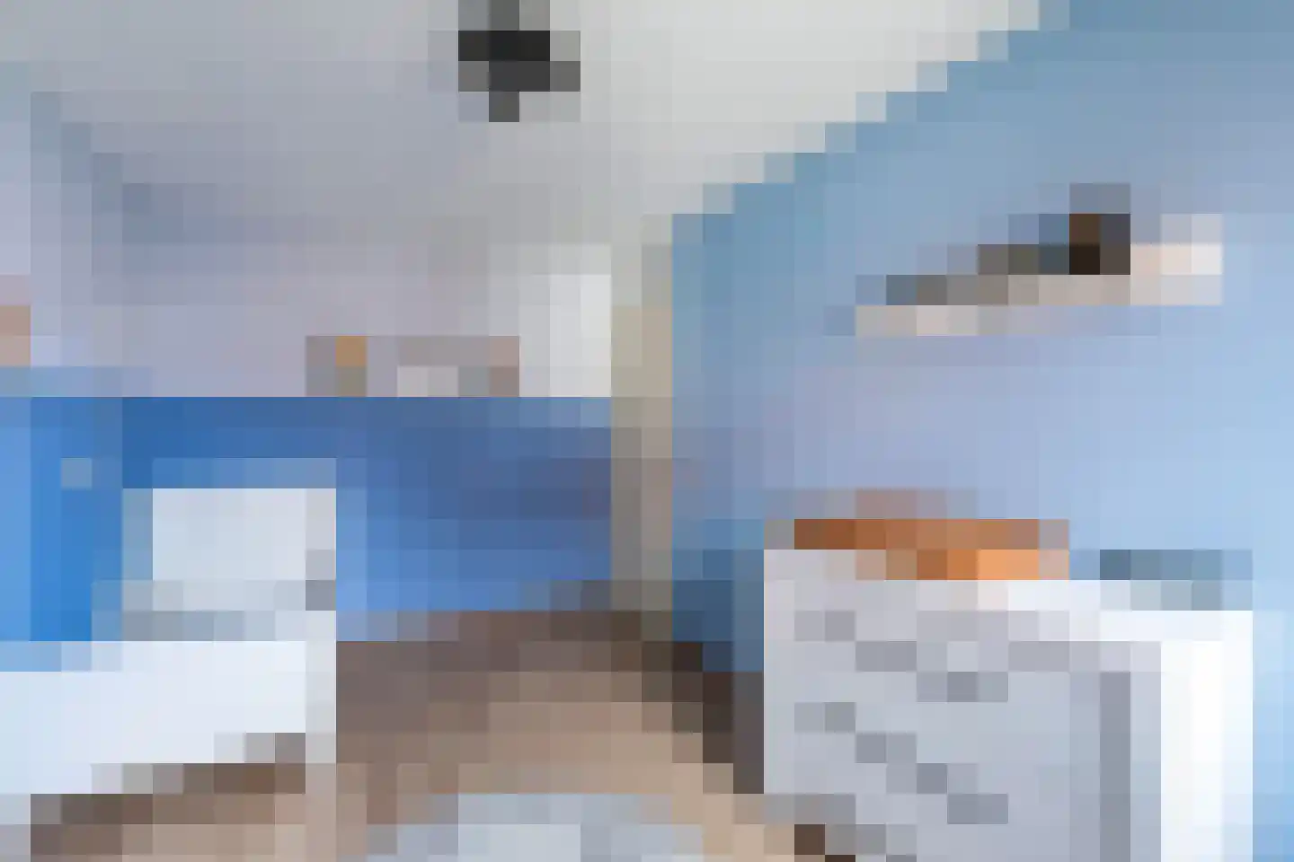 Kleimos 14 Zwolle thumbnail 19
