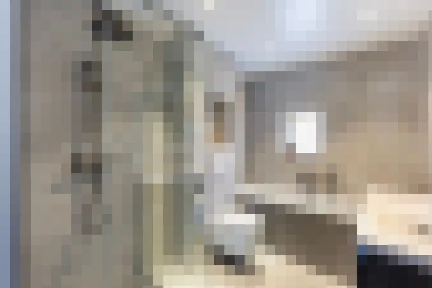 Kleimos 14 Zwolle thumbnail 21