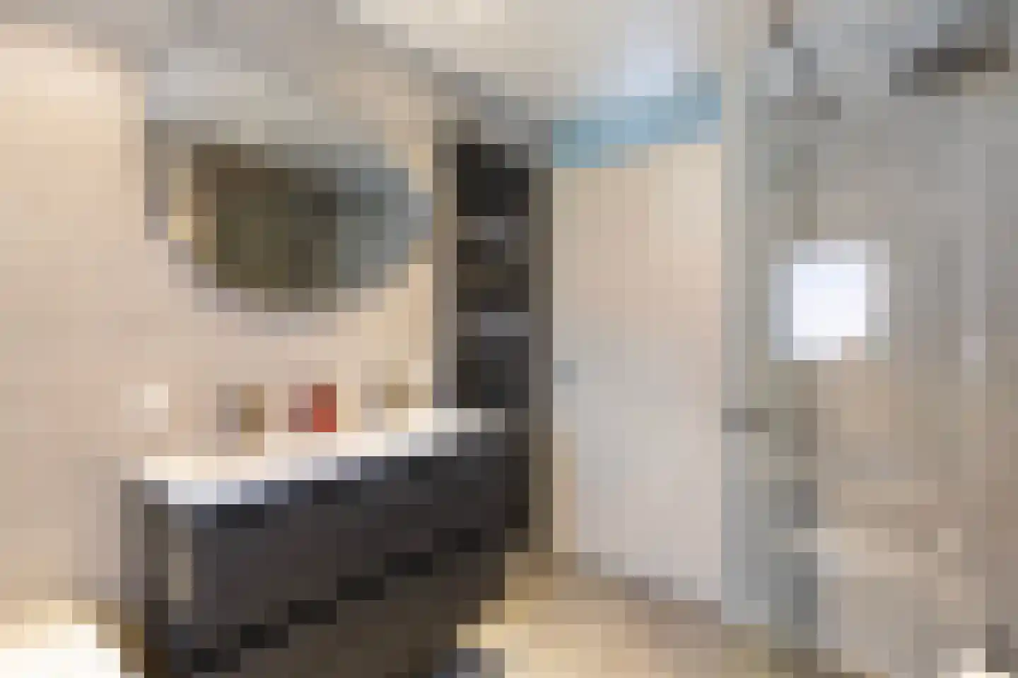Kleimos 14 Zwolle thumbnail 22