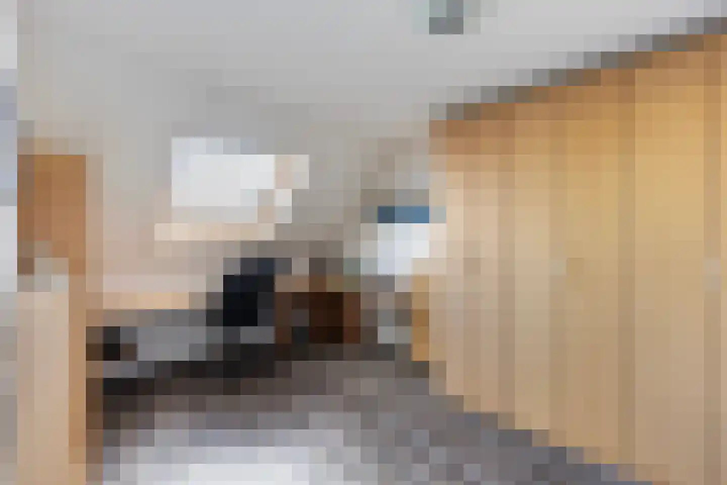 Kleimos 14 Zwolle thumbnail 28