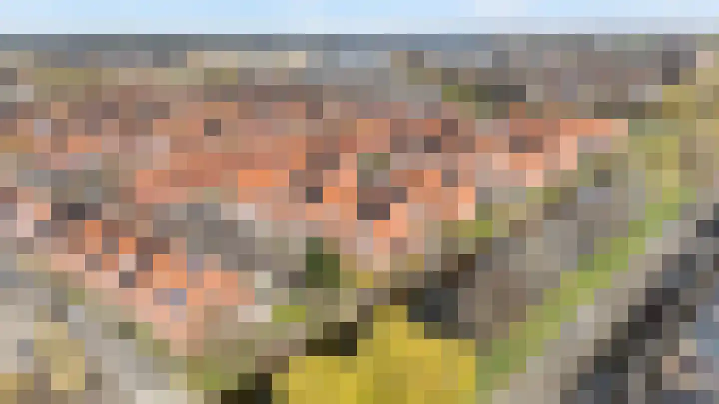 Kleimos 14 Zwolle thumbnail 30