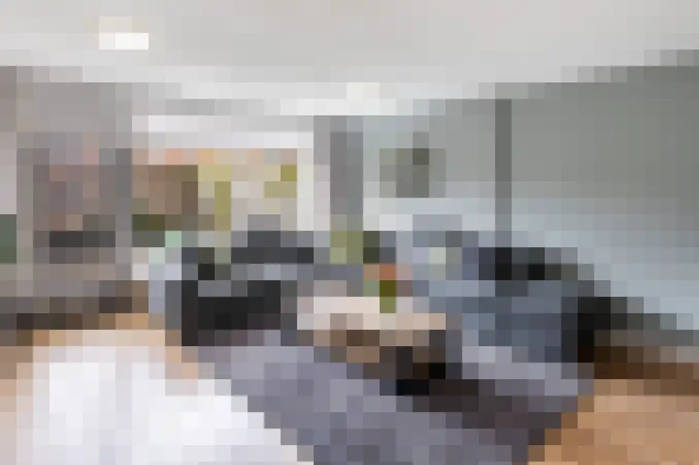 Kleimos 14 Zwolle thumbnail 4