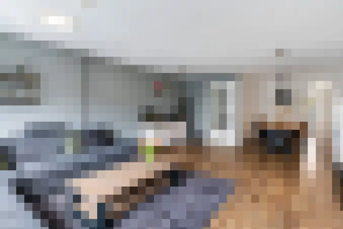 Kleimos 14 Zwolle thumbnail 6