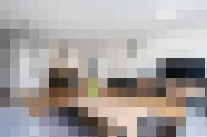 Kleimos 14 Zwolle thumbnail 7