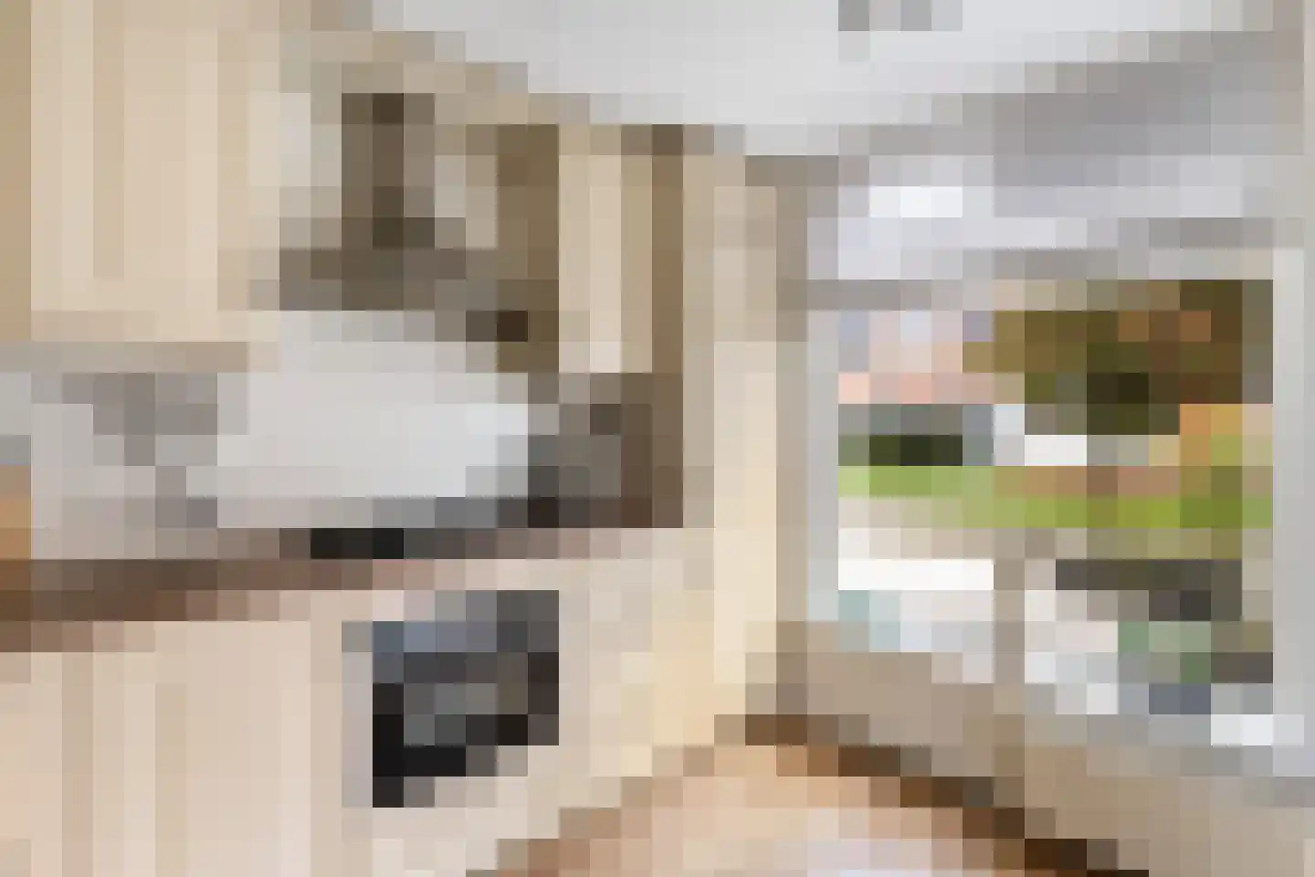 Kleimos 14 Zwolle thumbnail 9