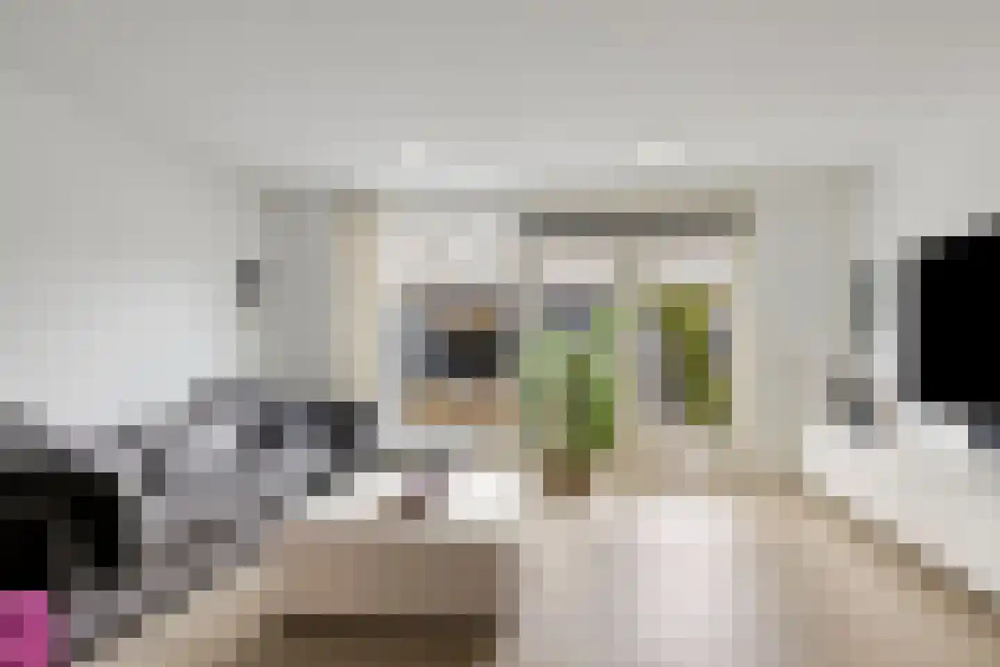 Kleimos 34 Zwolle thumbnail 5