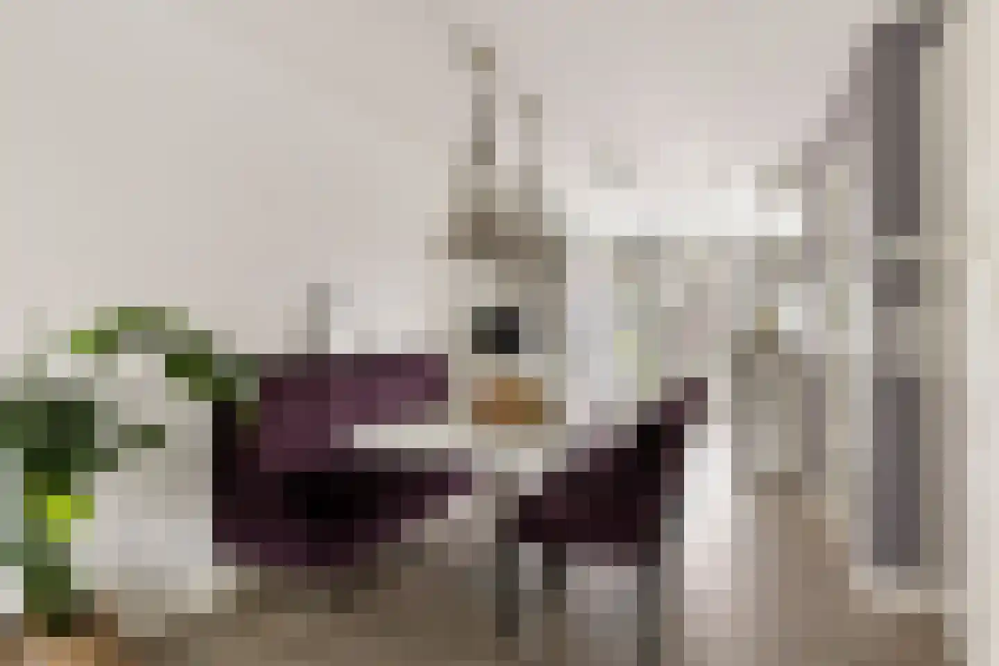 Kleimos 34 Zwolle thumbnail 8