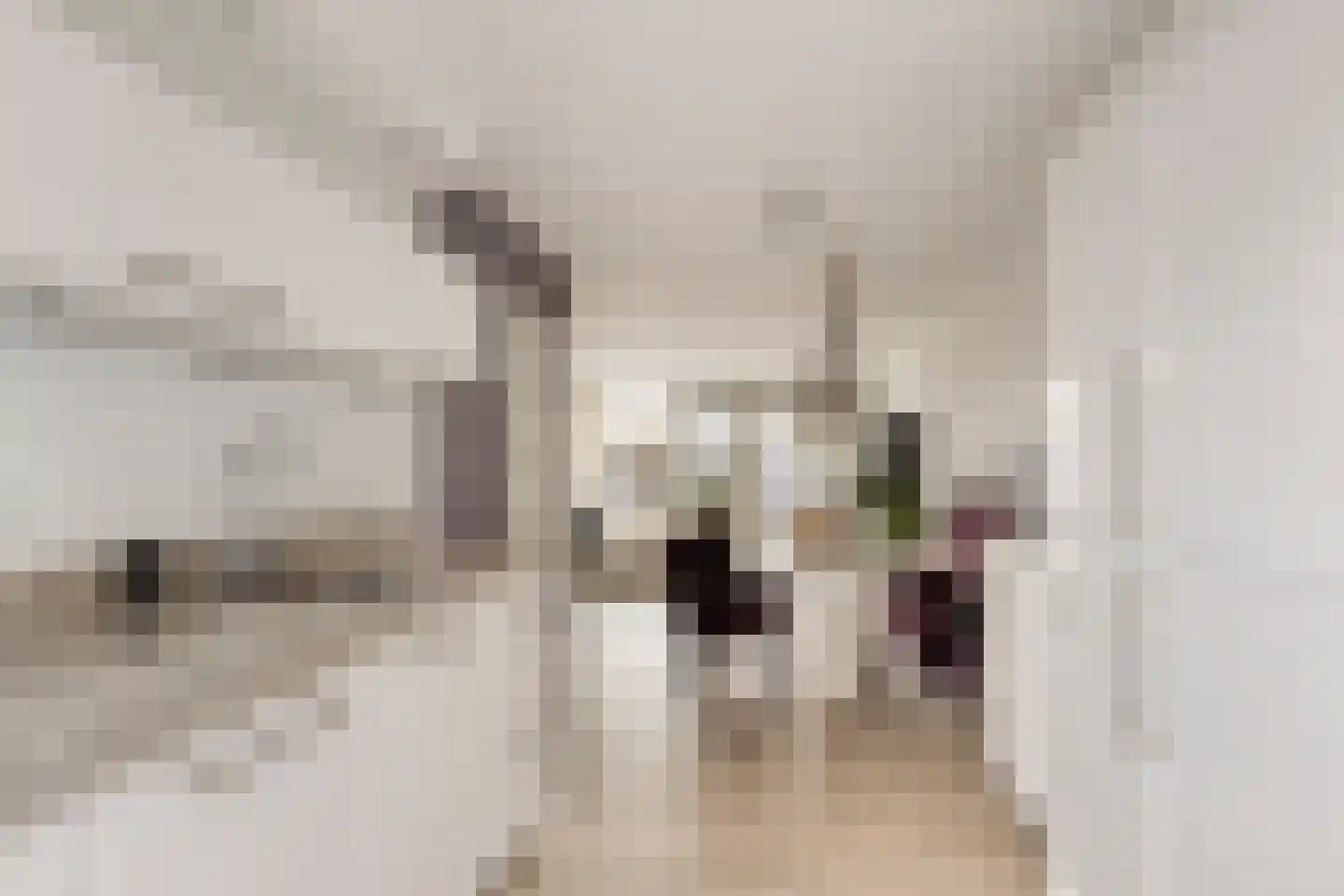 Kleimos 34 Zwolle thumbnail 9