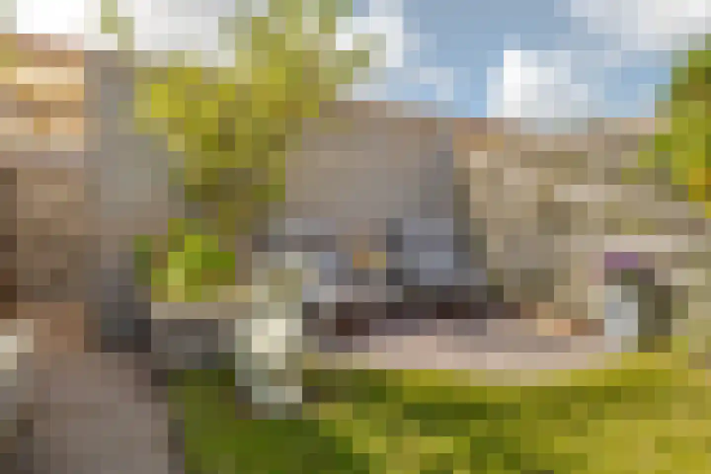 Kleimos 42 Zwolle thumbnail 28
