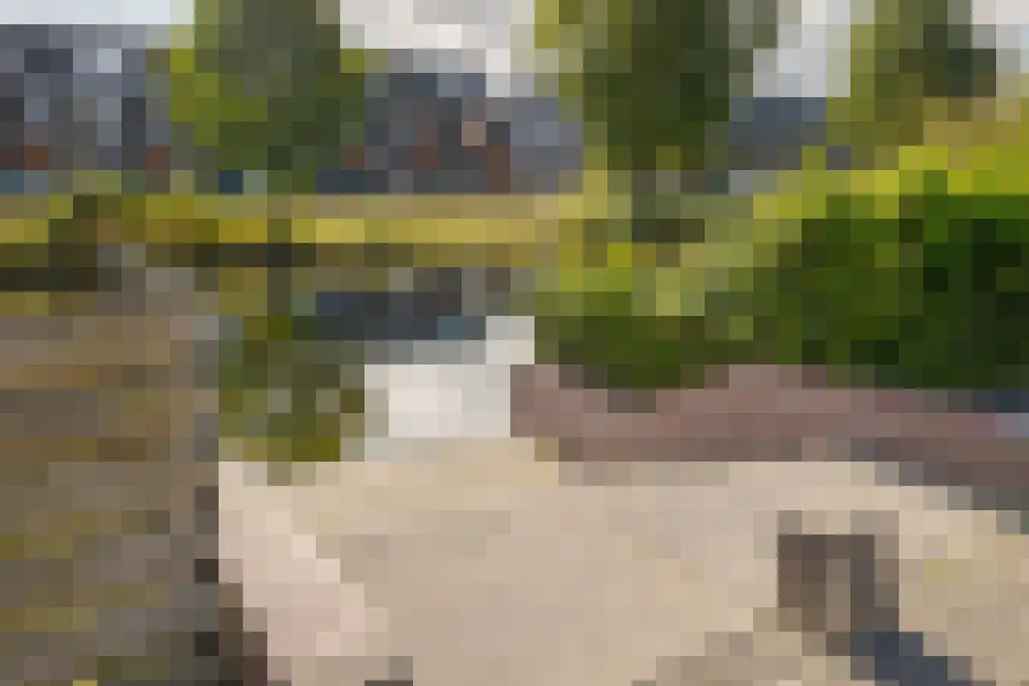 Kleimos 42 Zwolle thumbnail 54