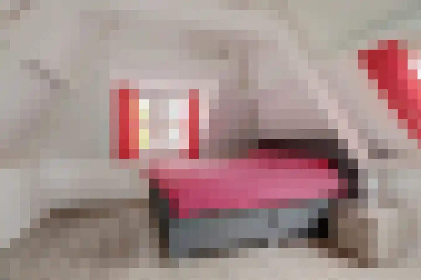 Klein Amerika 1 b Gouda thumbnail 27