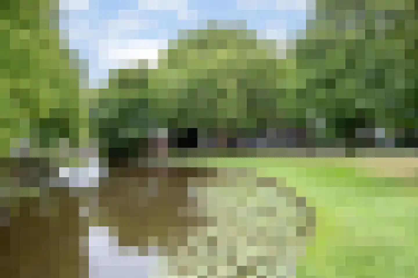 Klein Amerika 11 Gouda thumbnail 5