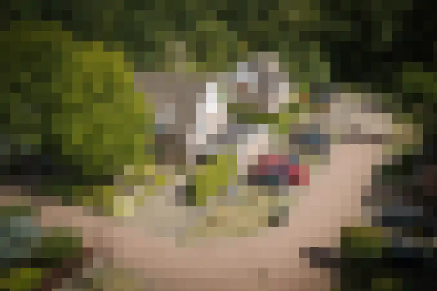 Klein Azink 2 Epse foto 2
