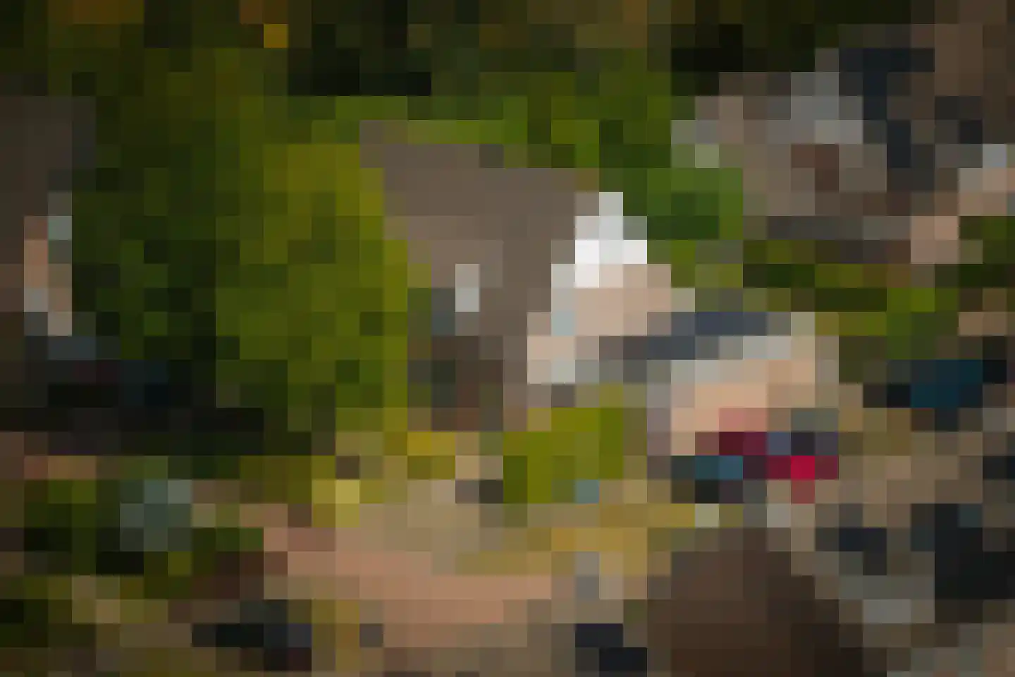 Klein Azink 2 Epse thumbnail 34