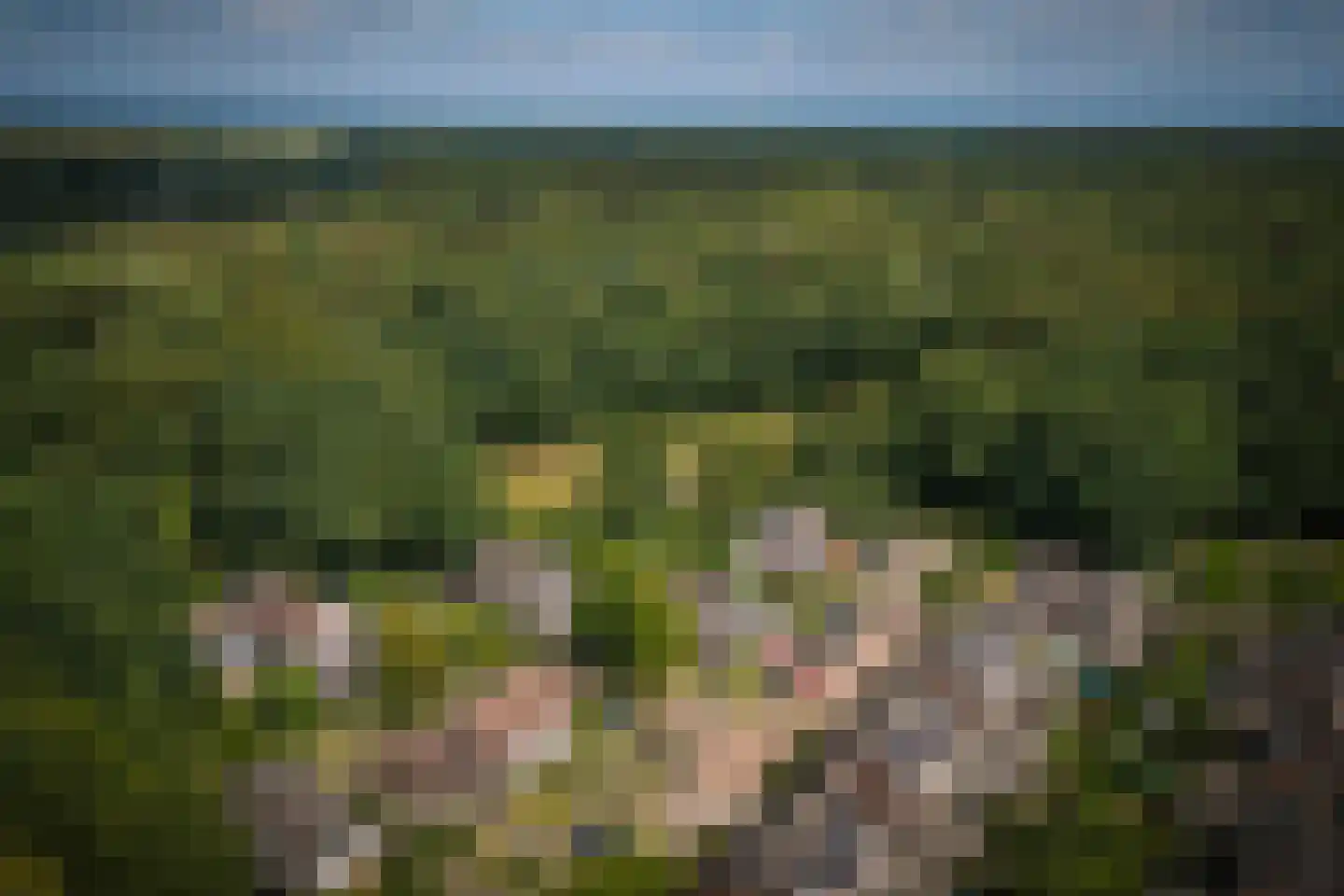 Klein Azink 2 Epse thumbnail 38