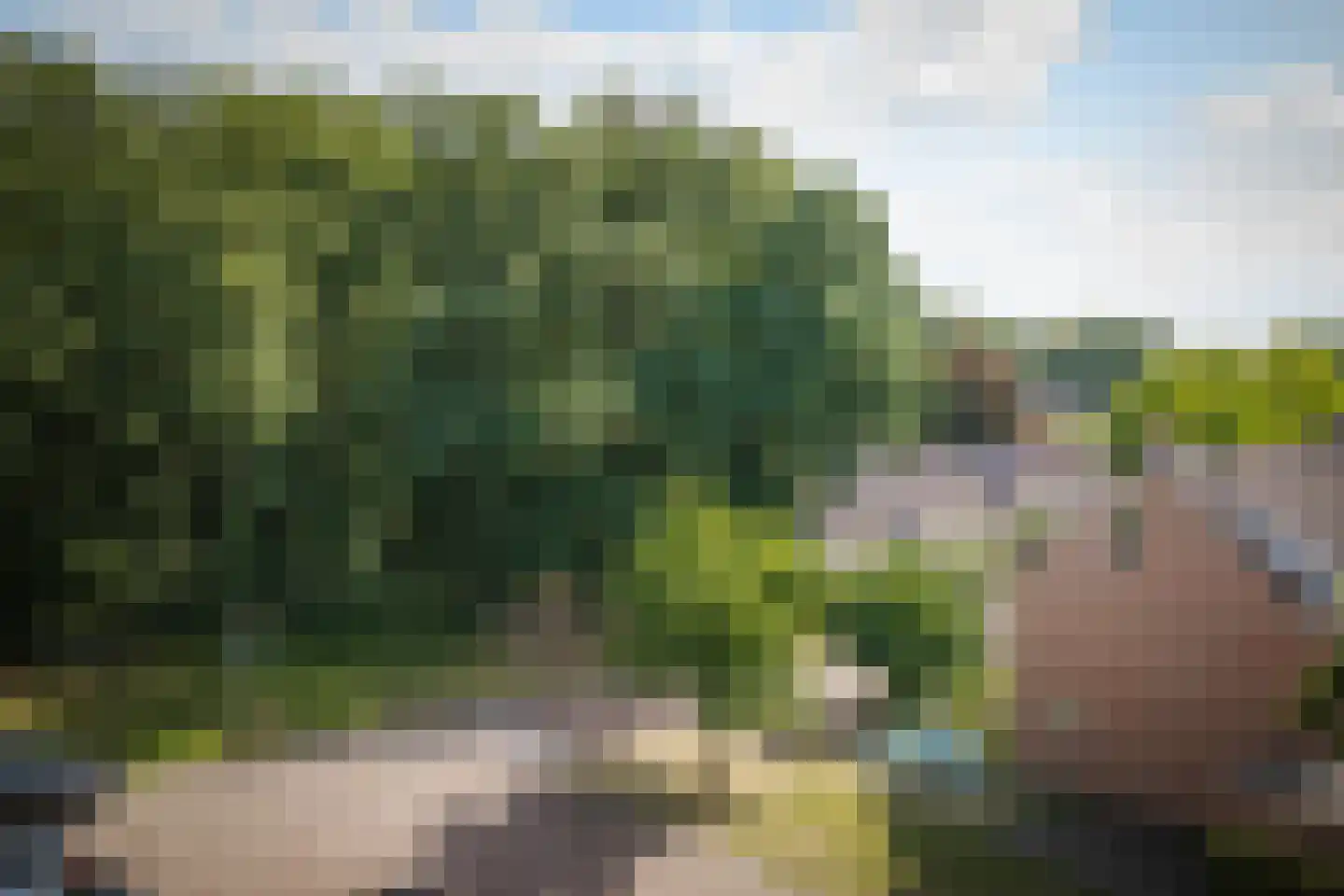 Klein Azink 2 Epse thumbnail 39