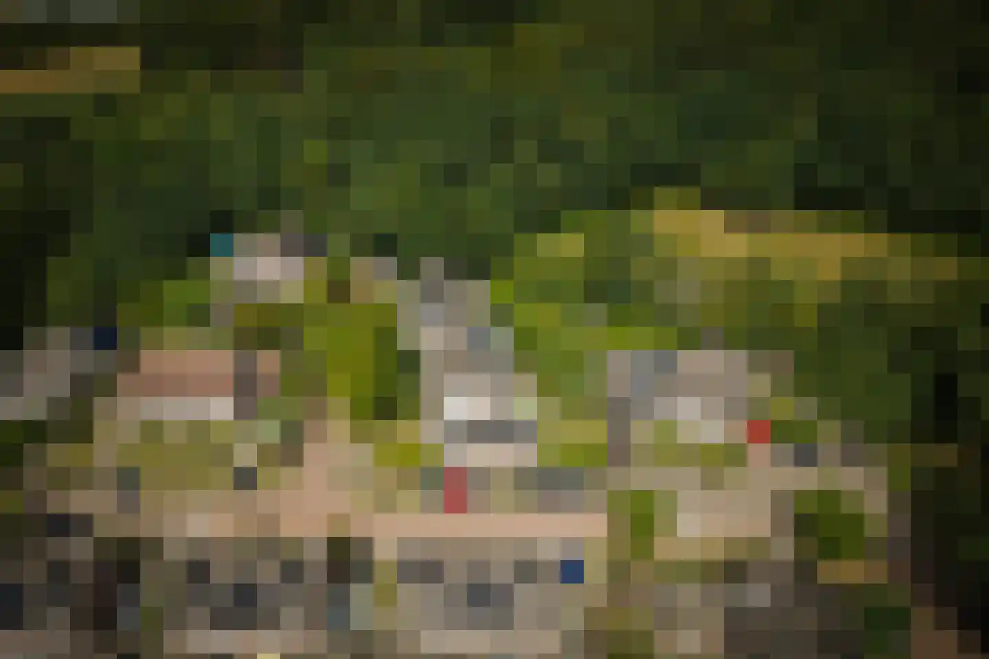 Klein Azink 2 Epse thumbnail 42