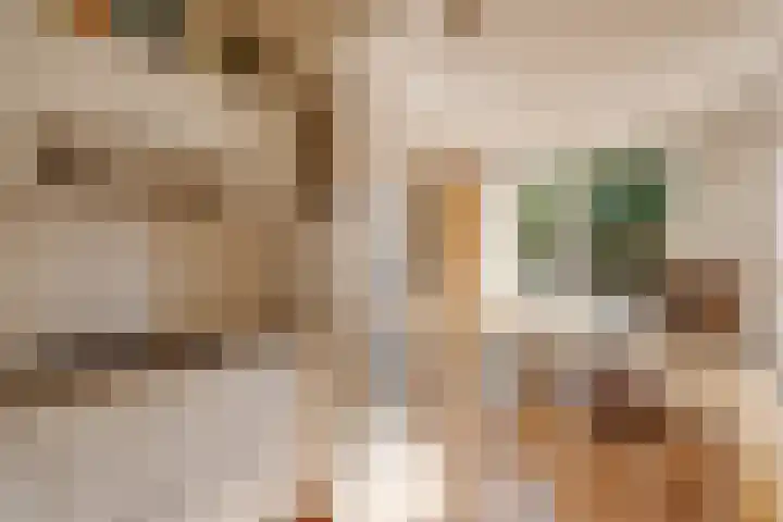 Klein Azink 4 Epse thumbnail 10
