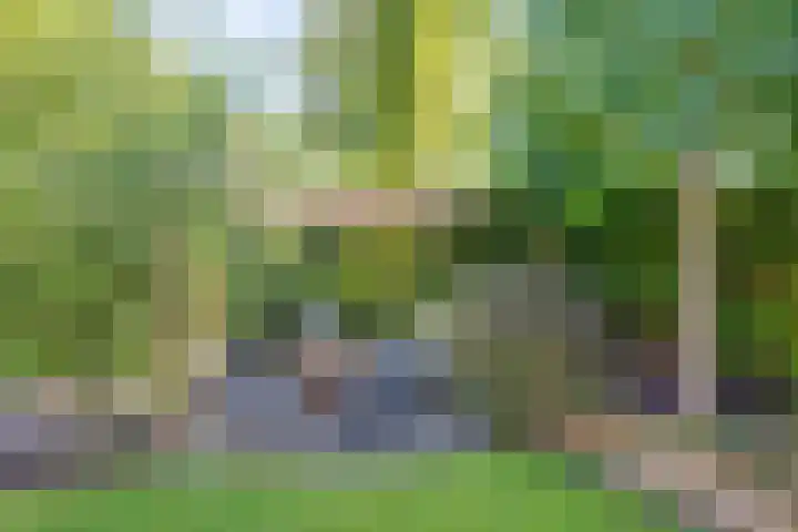 Klein Azink 4 Epse thumbnail 24