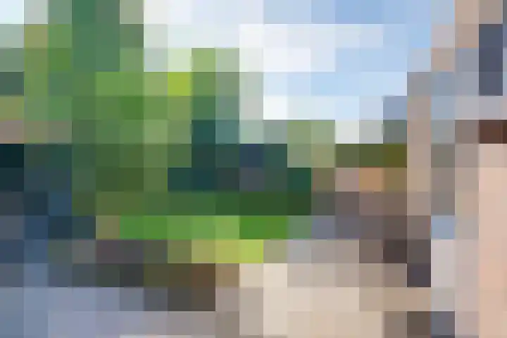 Klein Azink 4 Epse thumbnail 25