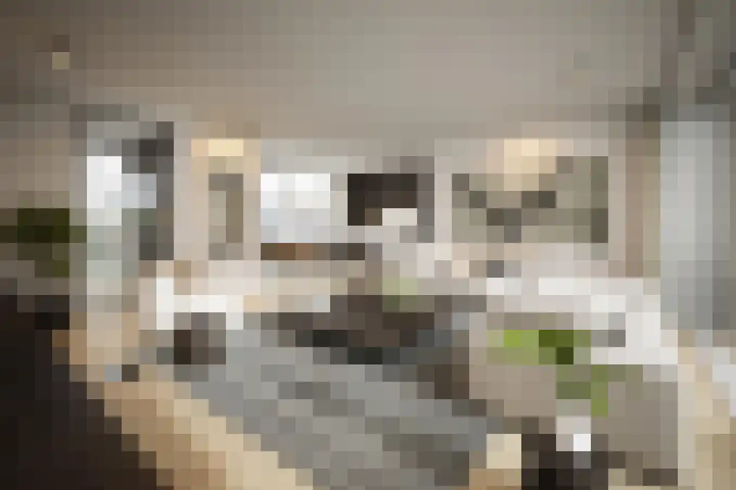Klein Belgie 1 03 Vijfhuizen thumbnail 16