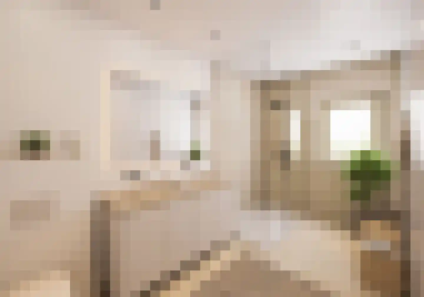 Klein Belgie 1 25A Vijfhuizen thumbnail 4